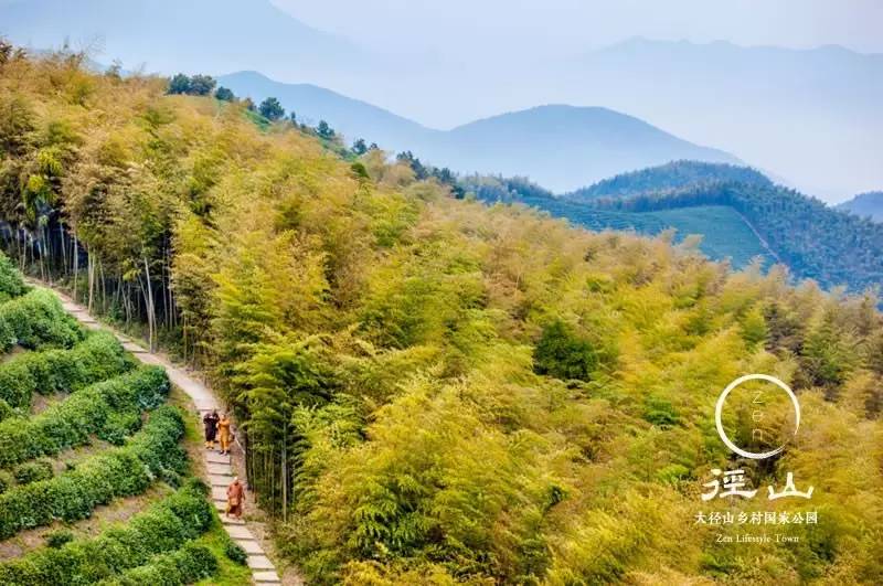 禅 寺径山古刹:禅茶一味 龙象之地